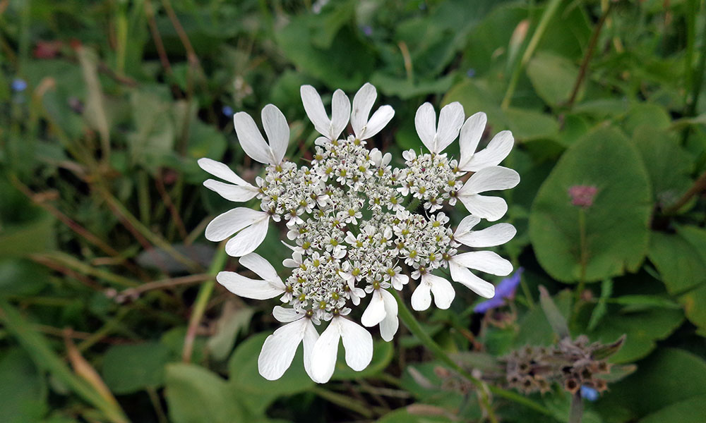 trek kirghizistan, vtt kirghizistan, trekking kirghizistan, ski kirghizistan, monts célestes kirghizistan, trek kirghizie, séjour kirghizistan, velo kirghizistan, ski de randonnée kirghizistan, trek au kirghizistan, trekking kirghizie, rando à cheval kirghizistan, trek à cheval kirghizistan, randonnée kirghizistan, kirghizistan à vélo, vtt ouzbékistan, voyage ouzbékistan, randonnée tadjikistan, kirghizistan trek, randonnée asie centrale, les monts célestes, voyage au kirghizistan, voyage kirghizie, voyage kirghizistan, kirghizistan voyage, agence de voyage kirghizistan, agence de trek kirghizistan