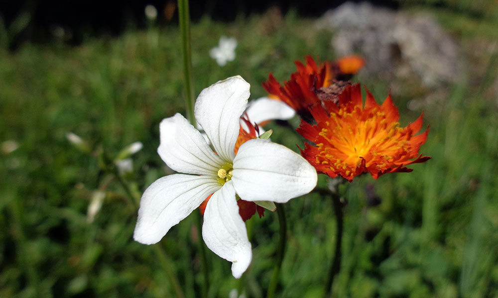 trek kirghizistan, vtt kirghizistan, trekking kirghizistan, ski kirghizistan, monts célestes kirghizistan, trek kirghizie, séjour kirghizistan, velo kirghizistan, ski de randonnée kirghizistan, trek au kirghizistan, trekking kirghizie, rando à cheval kirghizistan, trek à cheval kirghizistan, randonnée kirghizistan, kirghizistan à vélo, vtt ouzbékistan, voyage ouzbékistan, randonnée tadjikistan, kirghizistan trek, randonnée asie centrale, les monts célestes, voyage au kirghizistan, voyage kirghizie, voyage kirghizistan, kirghizistan voyage, agence de voyage kirghizistan, agence de trek kirghizistan