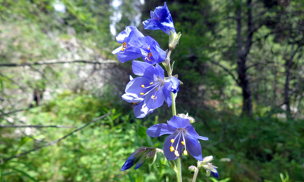 trek kirghizistan, vtt kirghizistan, trekking kirghizistan, ski kirghizistan, monts célestes kirghizistan, trek kirghizie, séjour kirghizistan, velo kirghizistan, ski de randonnée kirghizistan, trek au kirghizistan, trekking kirghizie, rando à cheval kirghizistan, trek à cheval kirghizistan, randonnée kirghizistan, kirghizistan à vélo, vtt ouzbékistan, voyage ouzbékistan, randonnée tadjikistan, kirghizistan trek, randonnée asie centrale, les monts célestes, voyage au kirghizistan, voyage kirghizie, voyage kirghizistan, kirghizistan voyage, agence de voyage kirghizistan, agence de trek kirghizistan