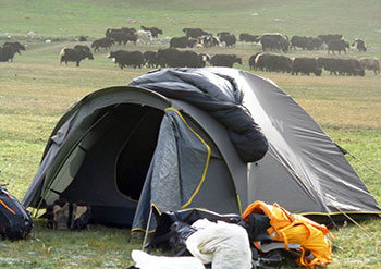 Voyage au Kirghizistan, trek, radnonnée, vélo, ski de randonnée