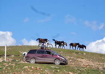 Voyage au Kirghizistan, trek, radnonnée, vélo, ski de randonnée