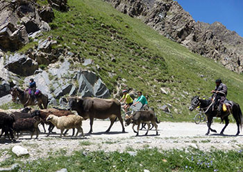Voyage au Kirghizistan, trek, radnonnée, vélo, ski de randonnée