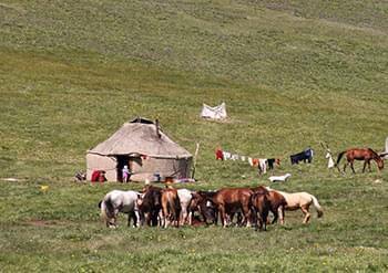 trek kirghizistan, vtt kirghizistan, trekking kirghizistan, ski kirghizistan, monts célestes kirghizistan, trek kirghizie, séjour kirghizistan, velo kirghizistan, ski de randonnée kirghizistan, trek au kirghizistan, trekking kirghizie, rando à cheval kirghizistan, trek à cheval kirghizistan, randonnée kirghizistan, kirghizistan à vélo, vtt ouzbékistan, voyage ouzbékistan, randonnée tadjikistan, kirghizistan trek, randonnée asie centrale, les monts célestes, voyage au kirghizistan, voyage kirghizie, voyage kirghizistan, kirghizistan voyage, agence de voyage kirghizistan, agence de trek kirghizistan, monts celestes trekking kirghizistan, blog kirghizistan, kirghizistan carte