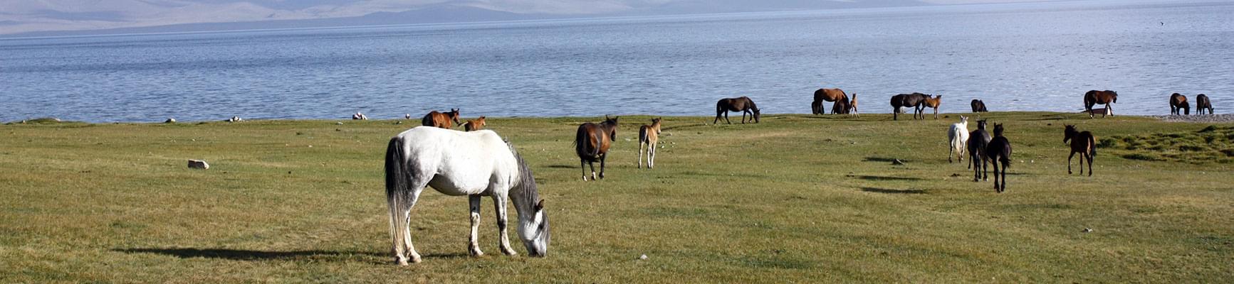 voyage kirghizistan, trek, randonnée, ski de randonnée et découverte culturelle, séjour kirghizistan, voyage en Kirghizie
