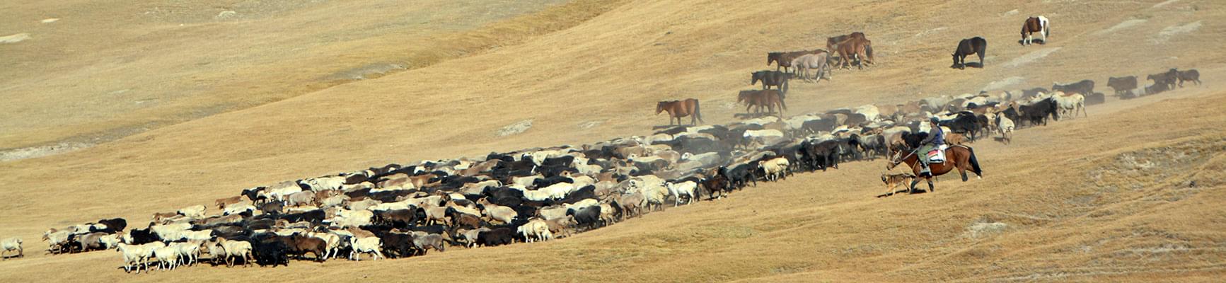 voyage kirghizistan, trek, randonnée, ski de randonnée et découverte culturelle, trek kirghizistan, séjour Kirghizie