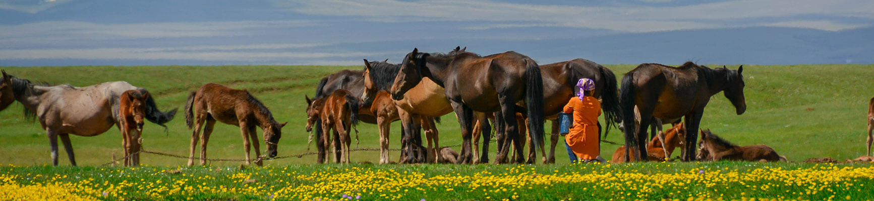 Randonnée au Kirghizistan, voyage Kirghizistan, séjour Kirghizistan, randonnée à pied kirghizistan, trek kirghizistan, trek Kirghizie, randonnée kirghizistan, agence de trek kirghizistan, trek kirghizistan, vtt kirghizistan, trekking kirghizistan, ski kirghizistan, monts célestes kirghizistan, trek kirghizie, séjour kirghizistan, velo kirghizistan, ski de randonnée kirghizistan, trek au kirghizistan, trekking kirghizie, rando à cheval kirghizistan, trek à cheval kirghizistan, randonnée kirghizistan, kirghizistan à vélo, vtt ouzbékistan, voyage ouzbékistan, randonnée tadjikistan, kirghizistan trek, randonnée asie centrale, les monts célestes, voyage au kirghizistan, voyage kirghizie, voyage kirghizistan, kirghizistan voyage