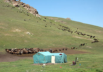 trek kirghizistan, vtt kirghizistan, trekking kirghizistan, ski kirghizistan, monts célestes kirghizistan, trek kirghizie, séjour kirghizistan, velo kirghizistan, ski de randonnée kirghizistan, trek au kirghizistan, trekking kirghizie, rando à cheval kirghizistan, trek à cheval kirghizistan, randonnée kirghizistan, kirghizistan à vélo, vtt ouzbékistan, voyage ouzbékistan, randonnée tadjikistan, kirghizistan trek, randonnée asie centrale, les monts célestes, voyage au kirghizistan, voyage kirghizie, voyage kirghizistan, kirghizistan voyage