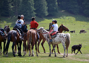 trek kirghizistan, vtt kirghizistan, trekking kirghizistan, ski kirghizistan, monts célestes kirghizistan, trek kirghizie, séjour kirghizistan, velo kirghizistan, ski de randonnée kirghizistan, trek au kirghizistan, trekking kirghizie, rando à cheval kirghizistan, trek à cheval kirghizistan, randonnée kirghizistan, kirghizistan à vélo, vtt ouzbékistan, voyage ouzbékistan, randonnée tadjikistan, kirghizistan trek, randonnée asie centrale, les monts célestes, voyage au kirghizistan, voyage kirghizie, voyage kirghizistan, kirghizistan voyage