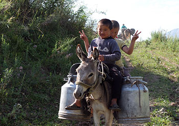 Voyage au Kirghizistan, trek, radnonnée, vélo, ski de randonnée