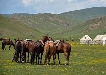 trek kirghizistan, vtt kirghizistan, trekking kirghizistan, ski kirghizistan, monts célestes kirghizistan, trek kirghizie, séjour kirghizistan, velo kirghizistan, ski de randonnée kirghizistan, trek au kirghizistan, trekking kirghizie, rando à cheval kirghizistan, trek à cheval kirghizistan, randonnée kirghizistan, kirghizistan à vélo, vtt ouzbékistan, voyage ouzbékistan, randonnée tadjikistan, kirghizistan trek, randonnée asie centrale, les monts célestes, voyage au kirghizistan, voyage kirghizie, voyage kirghizistan, kirghizistan voyage, agence de voyage kirghizistan, agence de trek kirghizistan, monts celestes trekking kirghizistan, blog kirghizistan, kirghizistan carte, multi activité kirghizistan, multi activité kirghizie