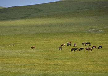 trek kirghizistan, vtt kirghizistan, trekking kirghizistan, ski kirghizistan, monts célestes kirghizistan, trek kirghizie, séjour kirghizistan, velo kirghizistan, ski de randonnée kirghizistan, trek au kirghizistan, trekking kirghizie, rando à cheval kirghizistan, trek à cheval kirghizistan, randonnée kirghizistan, kirghizistan à vélo, vtt ouzbékistan, voyage ouzbékistan, randonnée tadjikistan, kirghizistan trek, randonnée asie centrale, les monts célestes, voyage au kirghizistan, voyage kirghizie, voyage kirghizistan, kirghizistan voyage, agence de voyage kirghizistan, agence de trek kirghizistan, monts celestes trekking kirghizistan, blog kirghizistan, kirghizistan carte, multi activité kirghizistan, multi activité kirghizie