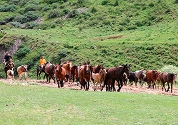 Voyage au Kirghizistan, trek, radnonnée, vélo, ski de randonnée