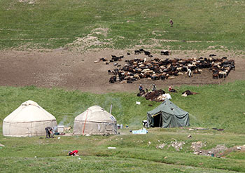 trek kirghizistan, vtt kirghizistan, trekking kirghizistan, ski kirghizistan, monts célestes kirghizistan, trek kirghizie, séjour kirghizistan, velo kirghizistan, ski de randonnée kirghizistan, trek au kirghizistan, trekking kirghizie, rando à cheval kirghizistan, trek à cheval kirghizistan, randonnée kirghizistan, kirghizistan à vélo, vtt ouzbékistan, voyage ouzbékistan, randonnée tadjikistan, kirghizistan trek, randonnée asie centrale, les monts célestes, voyage au kirghizistan, voyage kirghizie, voyage kirghizistan, kirghizistan voyage, agence de voyage kirghizistan, agence de trek kirghizistan, monts celestes trekking kirghizistan, blog kirghizistan, kirghizistan carte, multi activité kirghizistan, multi activité kirghizie